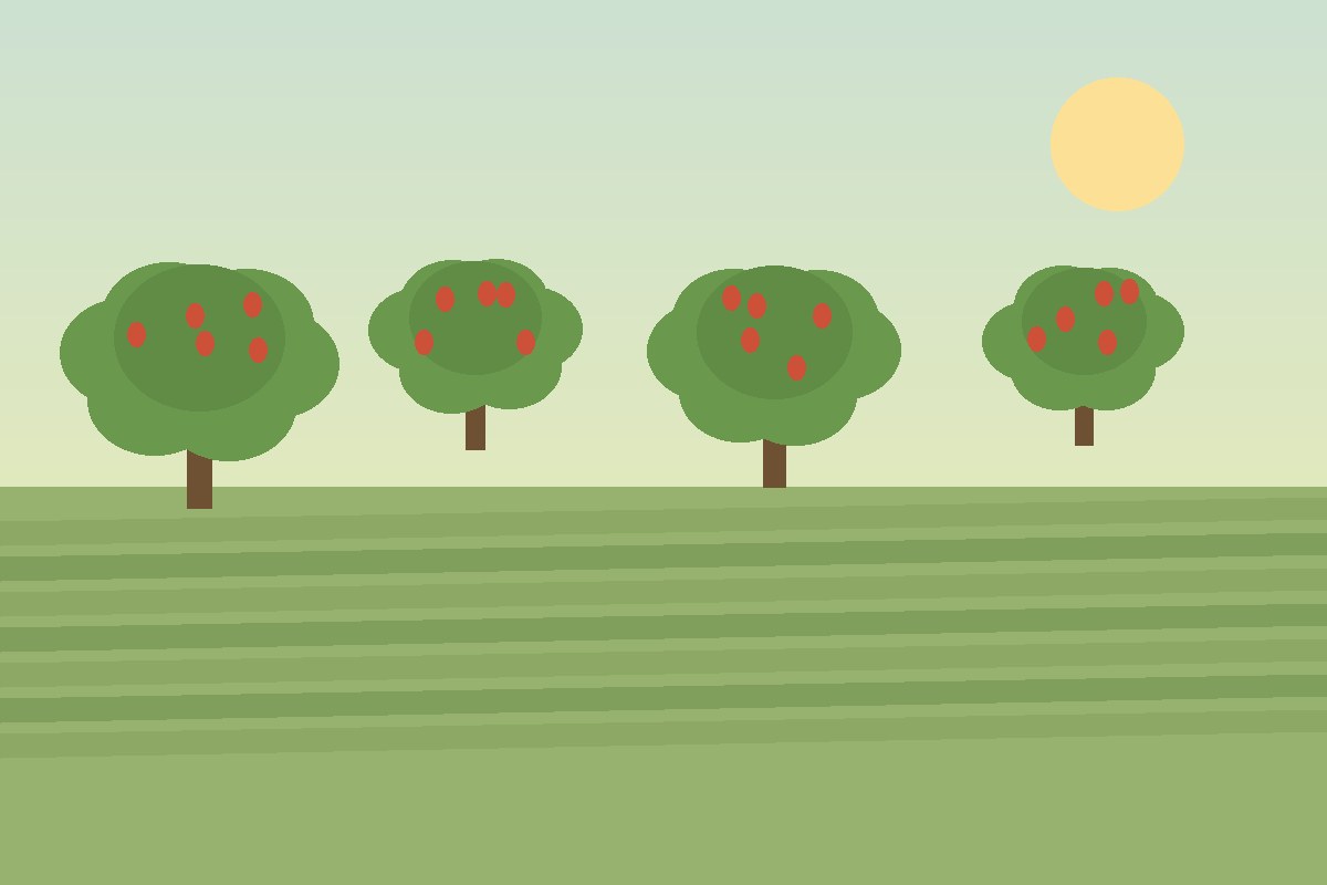 Cashew farm