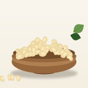 Salted Cashews