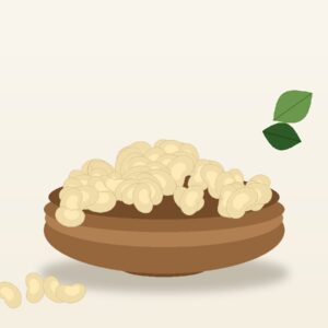 W180 Cashews